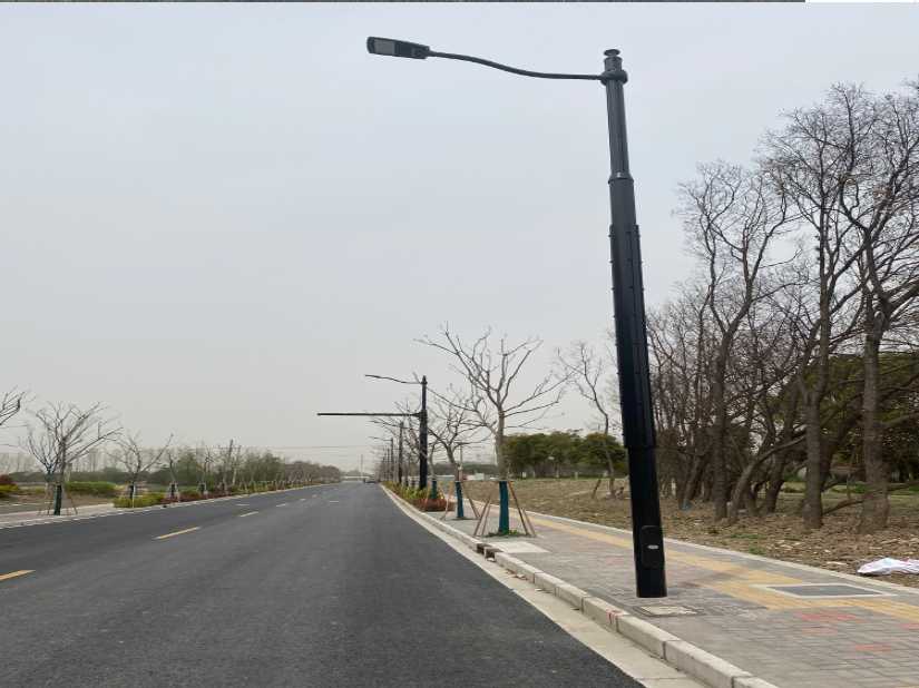 万秀区上海综合杆 太阳能路灯工程